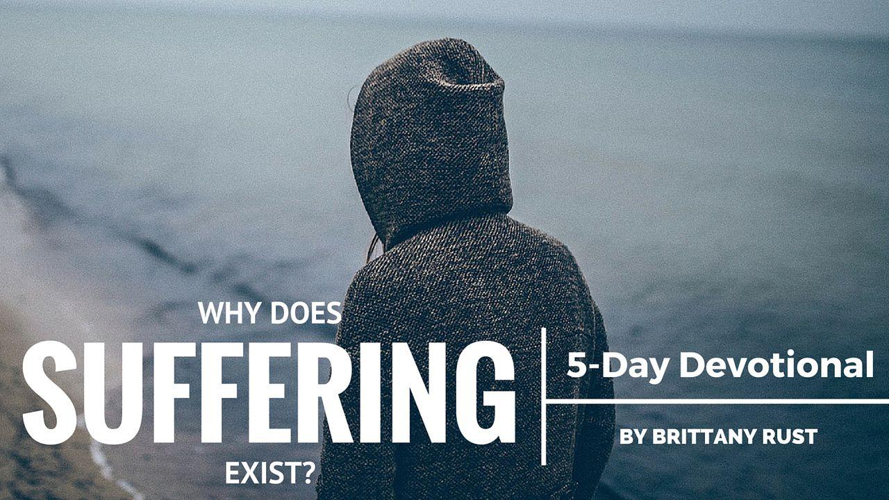 Why Does Suffering Exist?