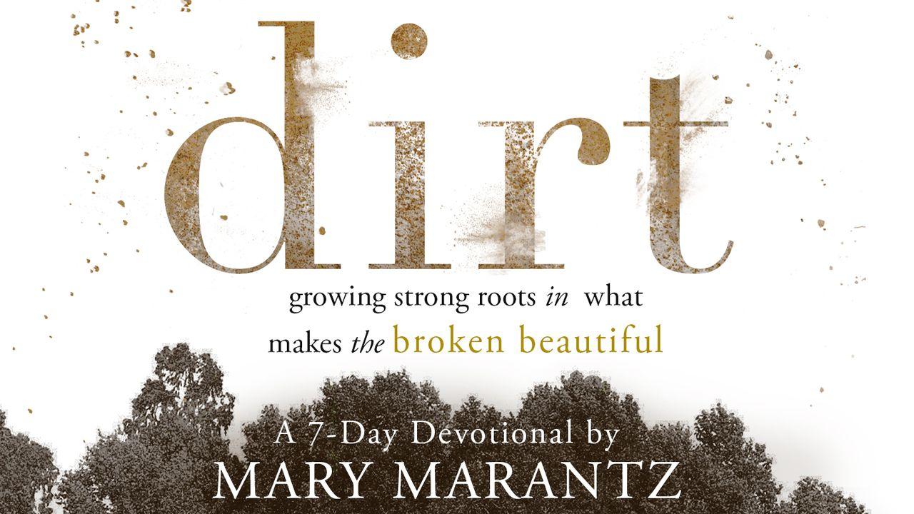 Dirt by Mary Marantz