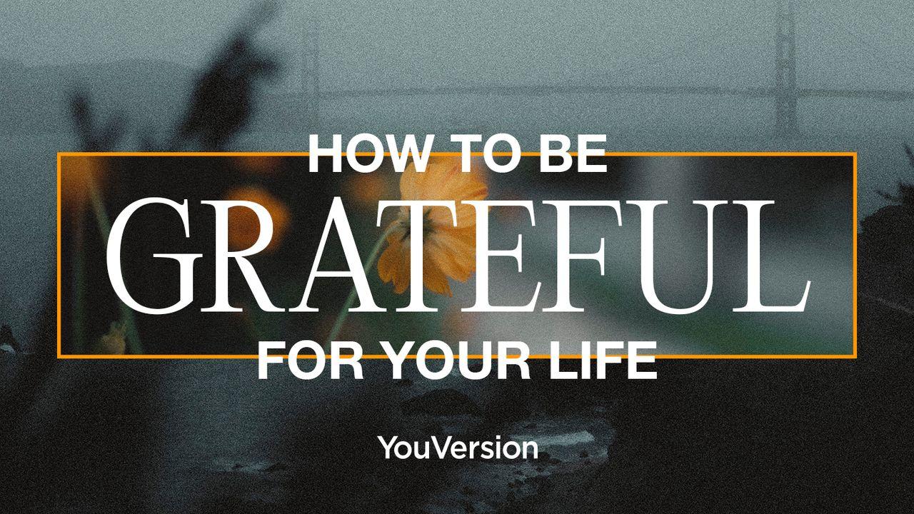 How to Be Grateful for Your Life