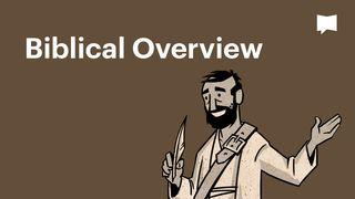 BibleProject | Biblical Overview