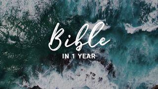 Durch die Bibel in einem Jahr
