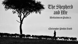 The Shepherd and Me
