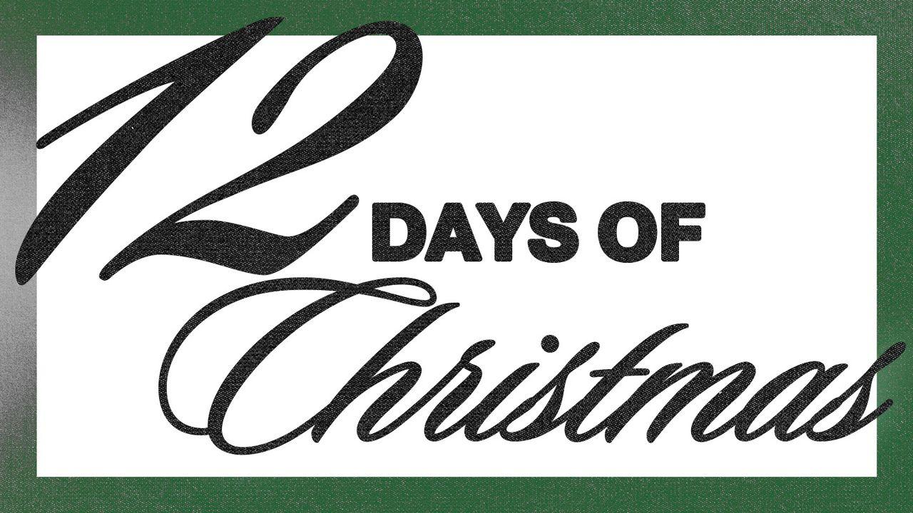 12 Days of Christmas Devotional: Discovering the Real Jesus