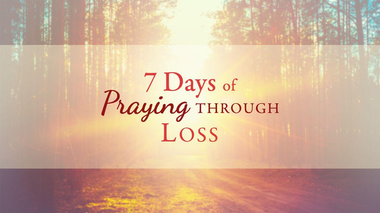 7 Days Of Praying Through Loss