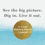 See the Big Picture. Dig In. Live It Out: A 5-Day Reading Plan in 1 Samuel