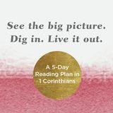 See the Big Picture. Dig In. Live It Out: A 5-Day Reading Plan in 1 Corinthians