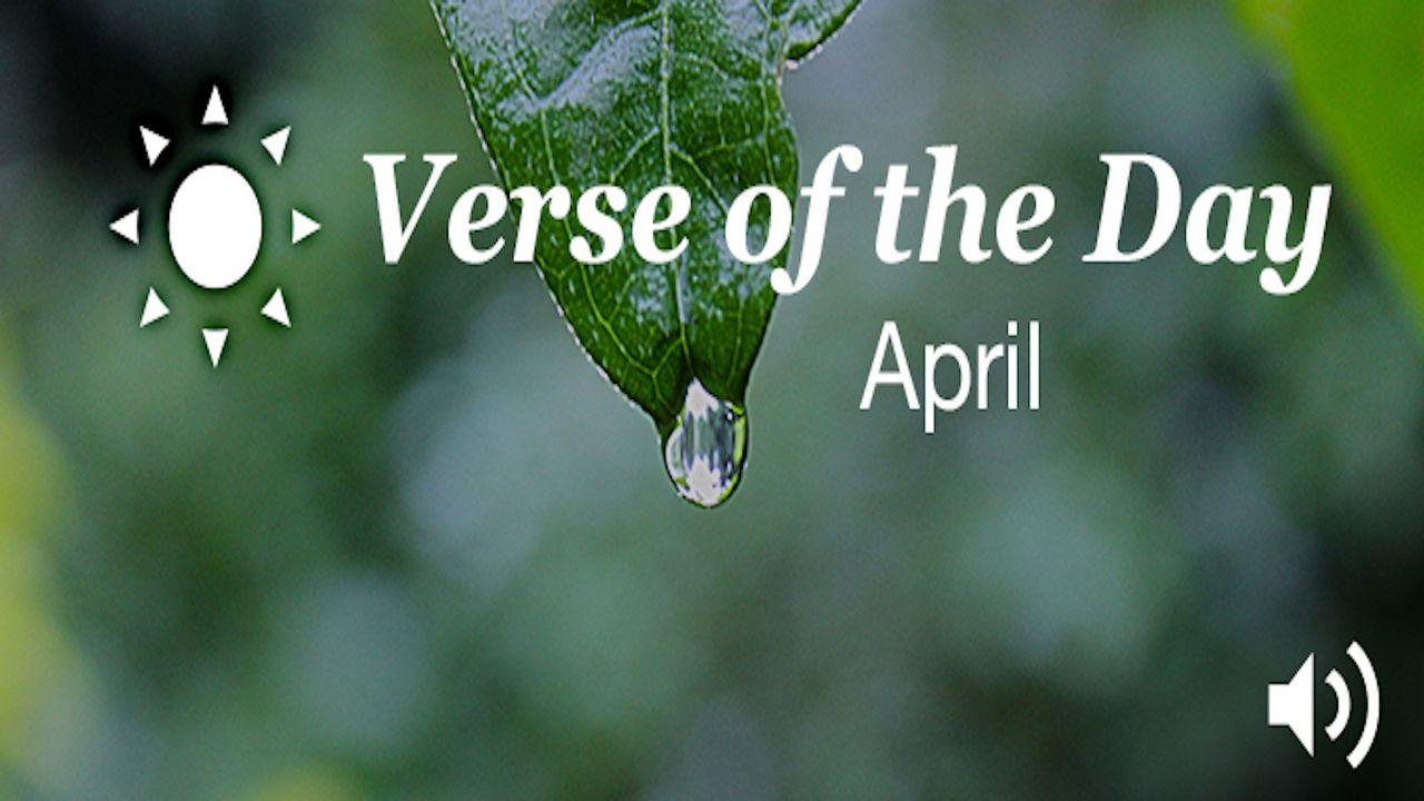 YouVersion Verse Of The Day: April 2016