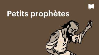 BibleProject | Petits prophètes