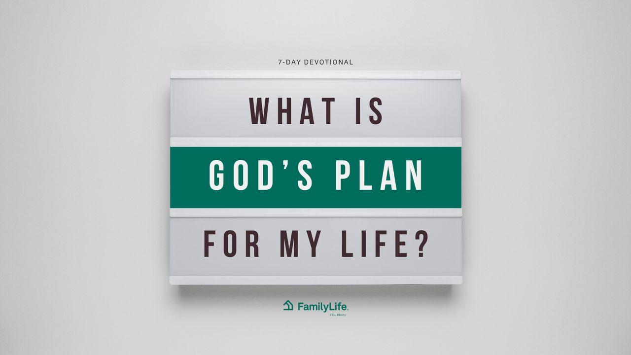 What Is God's Plan for My Life?