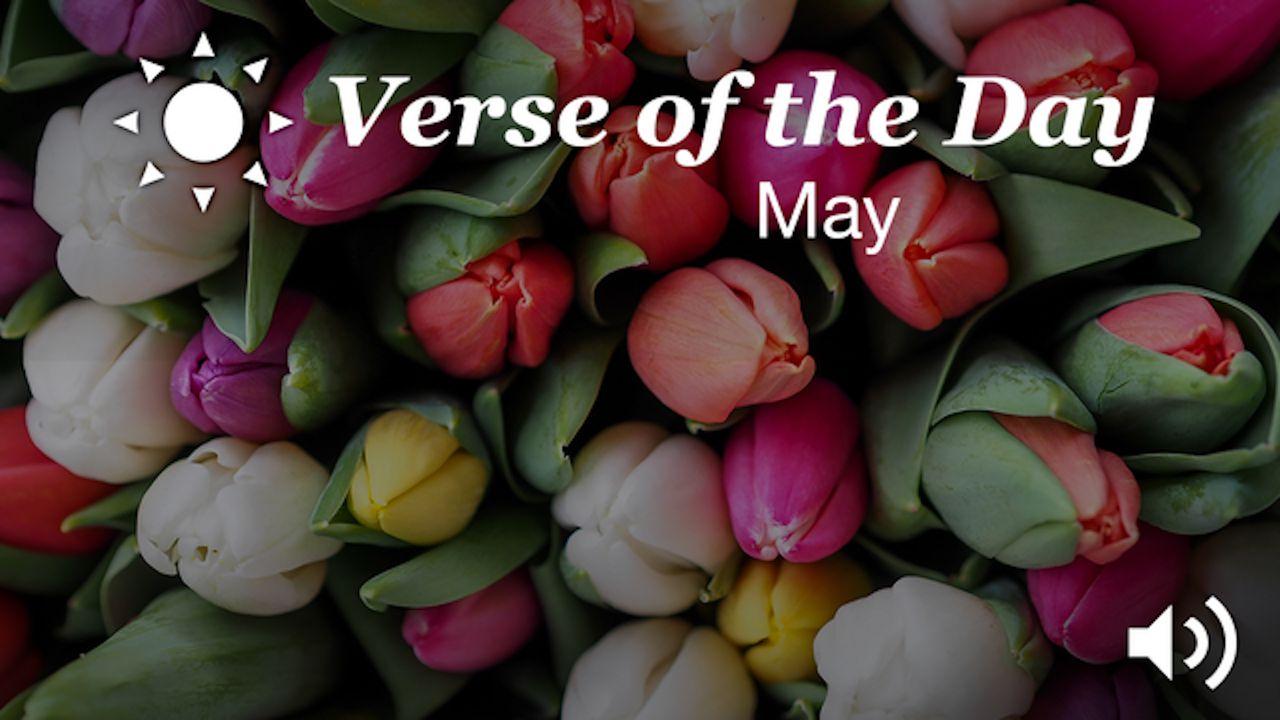 YouVersion Verse Of The Day: May 2016