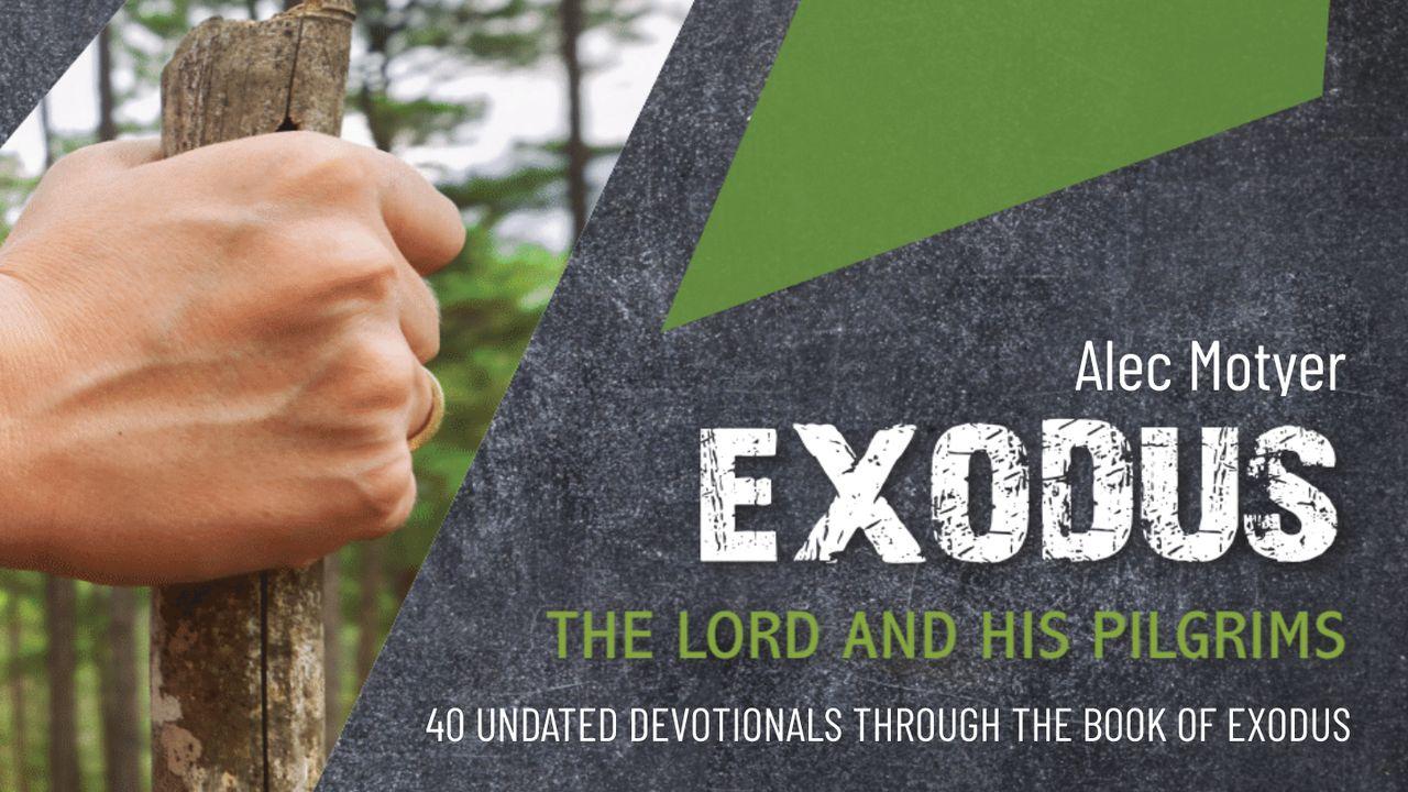Exodus: The Lord and His Pilgrims