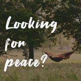 Looking for Peace? 