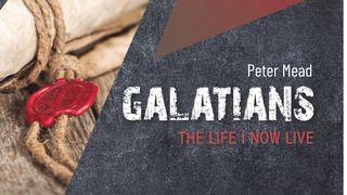 Galatians: The Life I Now Live