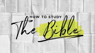 How to Study the Bible 📖
