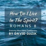 How Do I Live in the Spirit?: Bible Commentary on Romans 8