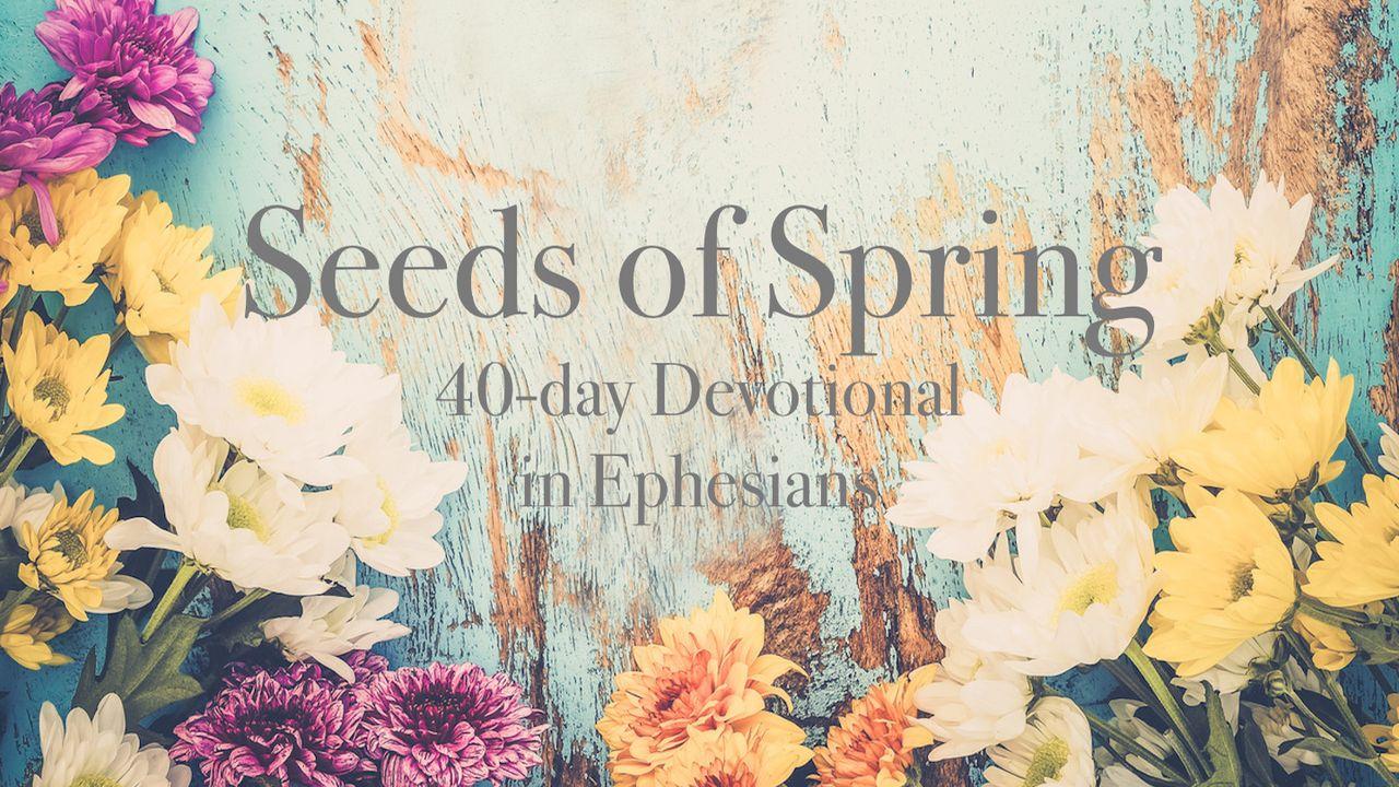 Seeds of Spring: A Woman's 40-day Journey