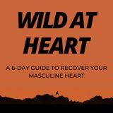 Wild at Heart a 6-Day Guide to Recover Your Masculine Heart by John Eldredge