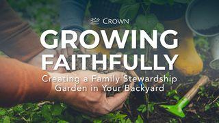 Growing Faithfully: Creating a Family Stewardship Garden in Your Backyard