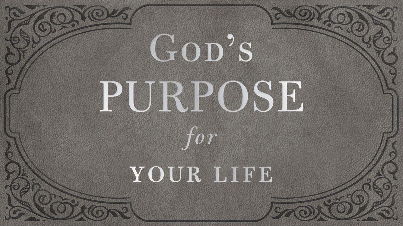 5 Days From God's Purpose for Your Life by Dr. Stanley