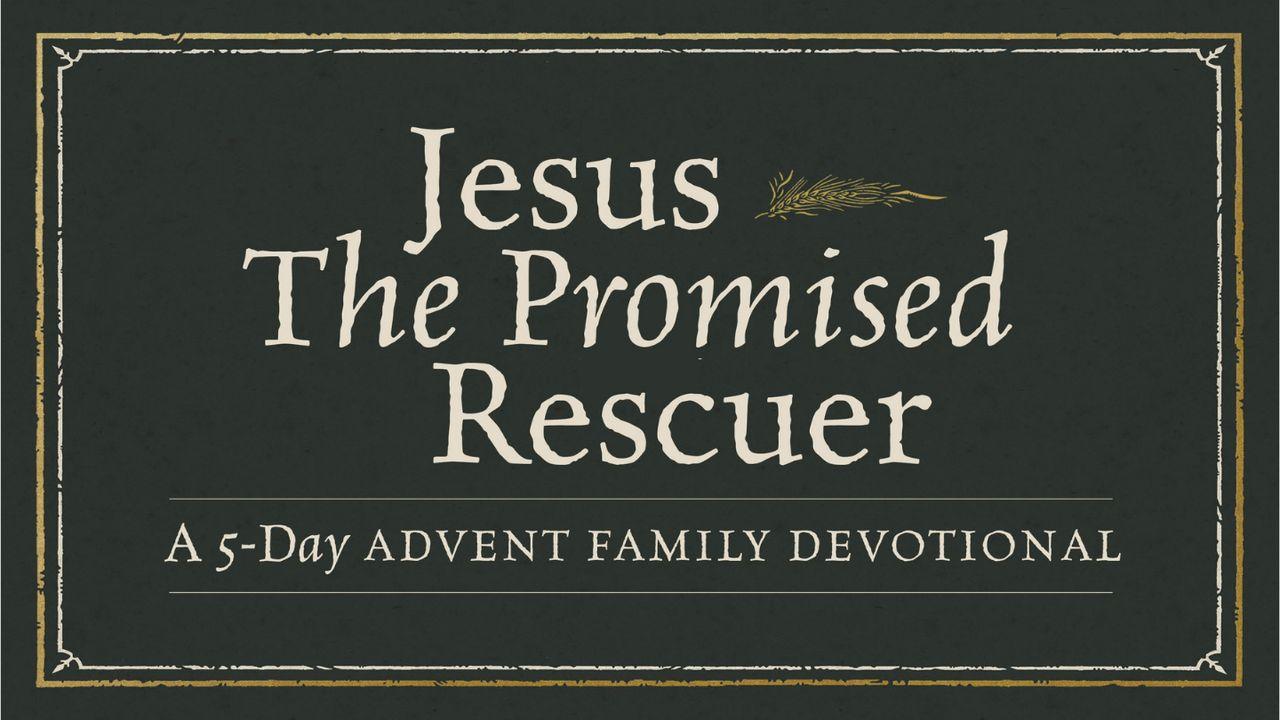 Jesus, the Promised Rescuer: An Advent Family Devotional
