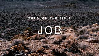 Through the Bible: Job