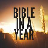 Read the Bible in a Year With Andrew Wommack