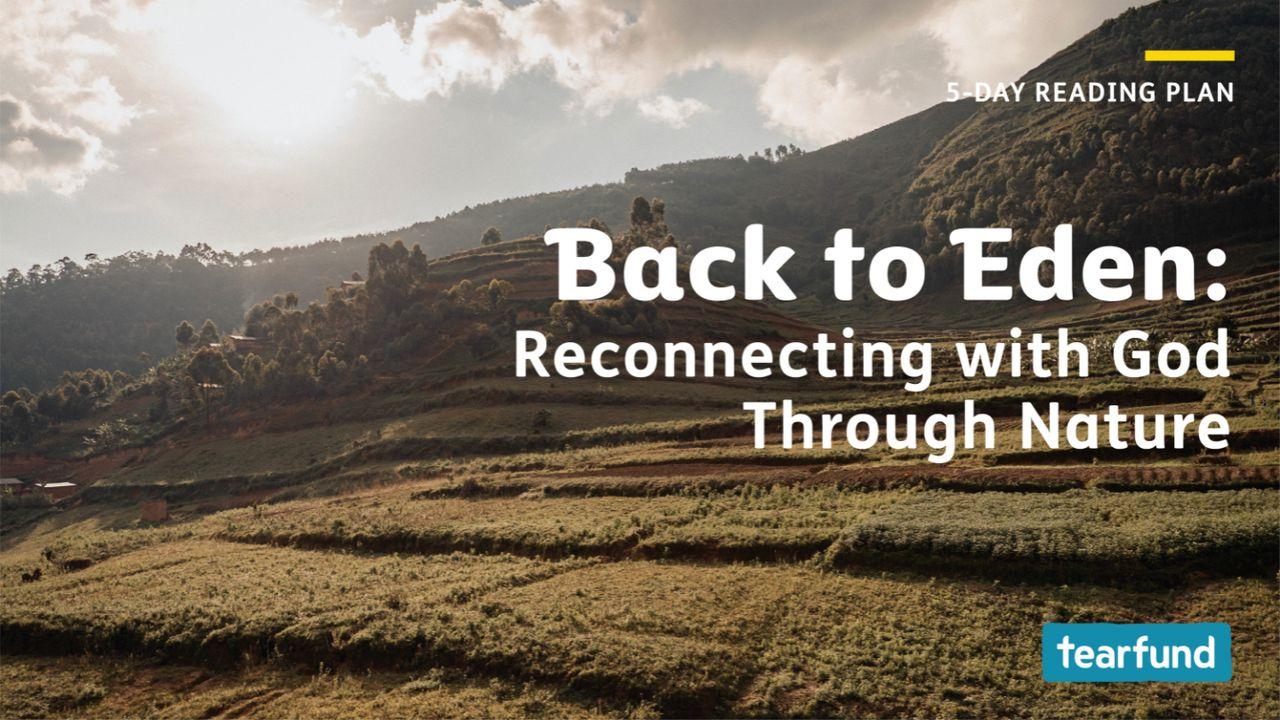Back to Eden: Reconnecting With God Through Nature