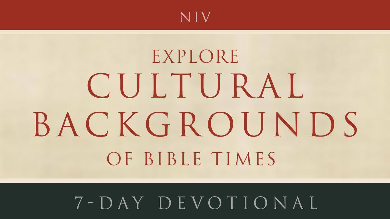 Explore Cultural Backgrounds Of Bible Times