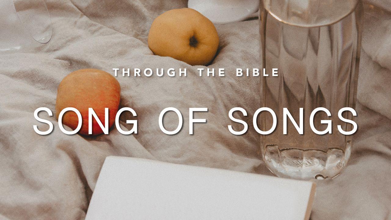 Through the Bible: Song of Songs