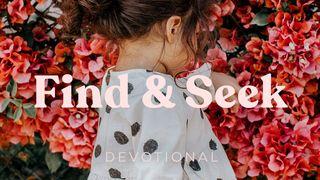 Find & Seek
