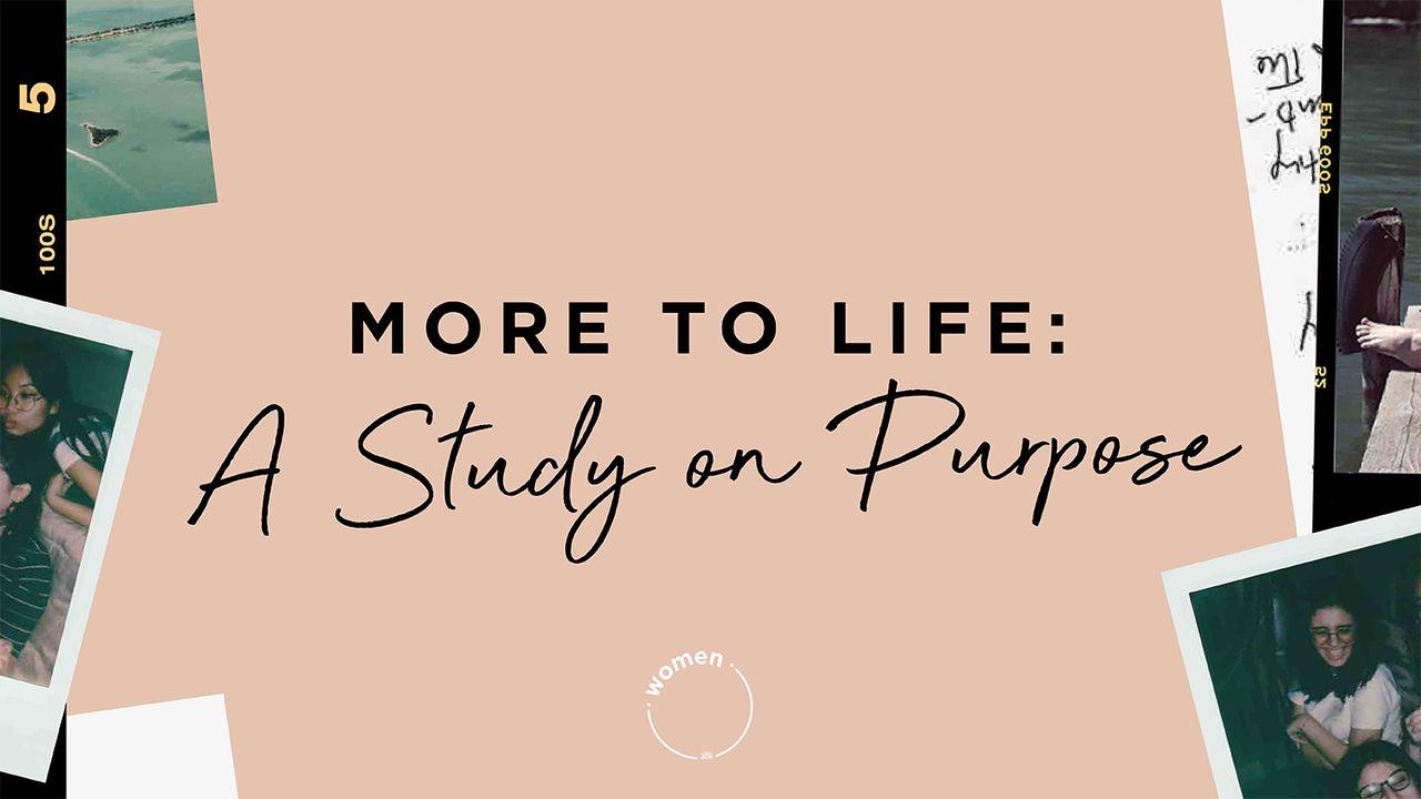 More to Life: Purpose