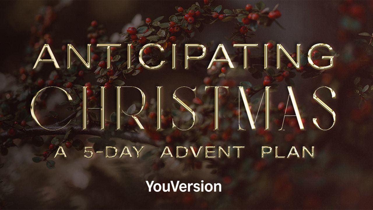 Menantikan Krismas: Pelan Adven 5 Hari