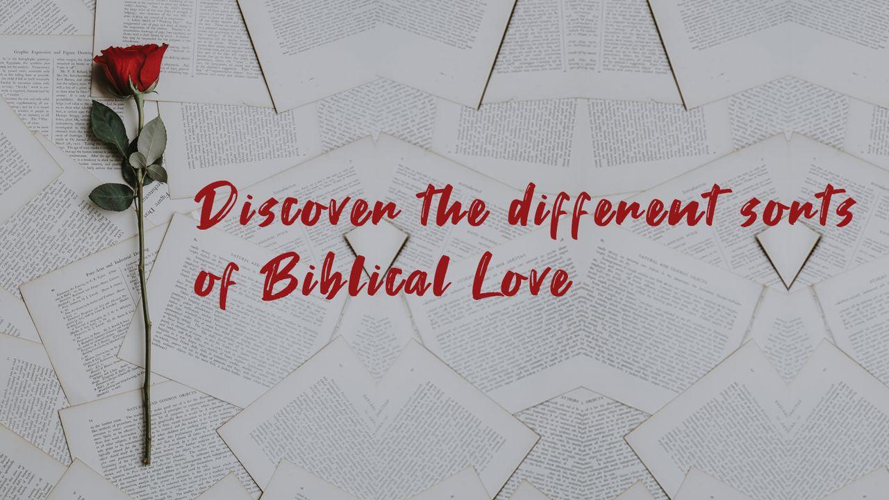 Discover the Different Sorts of Biblical Love