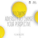 Allowing Adversity to Change Your Perspective