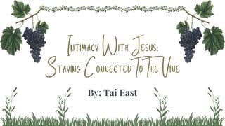 Intimacy With Jesus: Staying Connected to the Vine