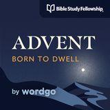 Advent: Born to Dwell With Bible Study Fellowship