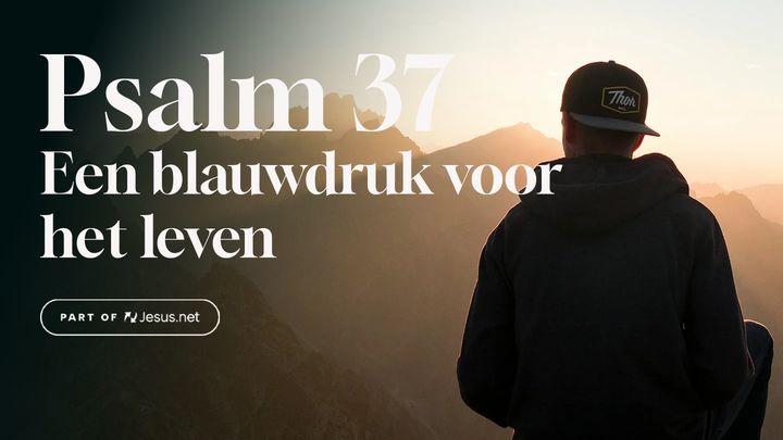 Psalm 37 – Een blauwdruk voor het leven