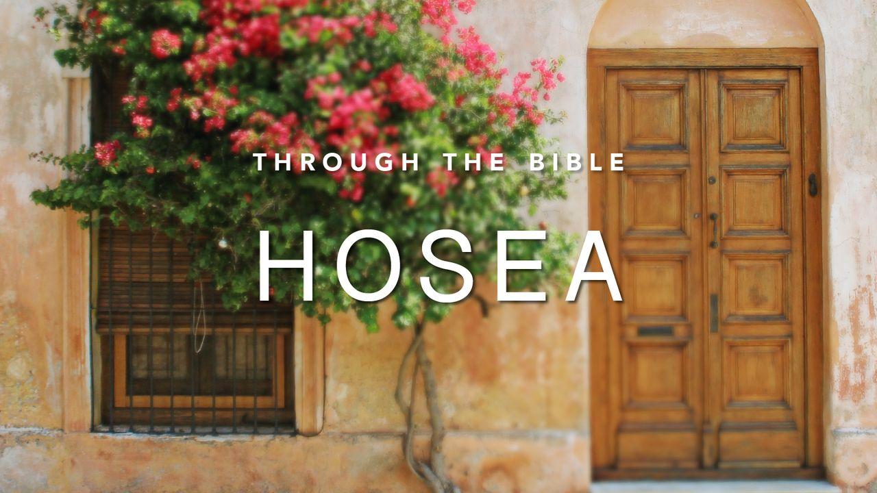 Through the Bible: Hosea