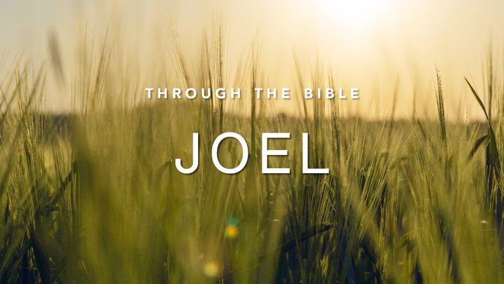 Through the Bible: Joel