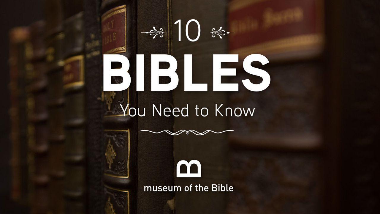 10 Bibles You Need To Know
