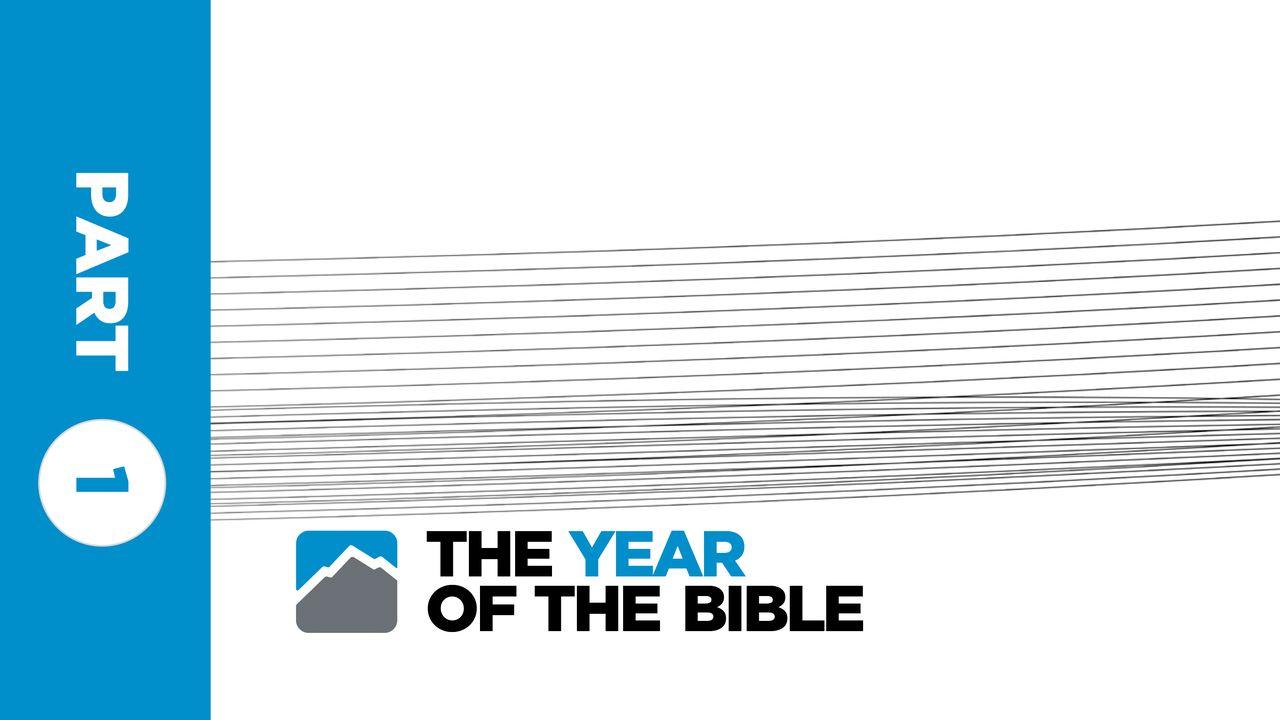 Year of the Bible: Part One of Twelve
