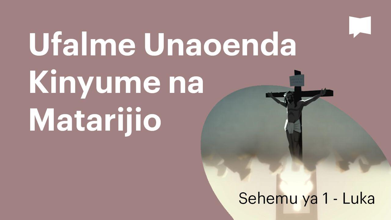 BibleProject | Ufalme Unaoenda Kinyume na Matarijio / Sehemu ya 1 - Luka
