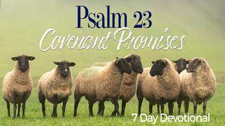 Psalm 23 Covenant Promises