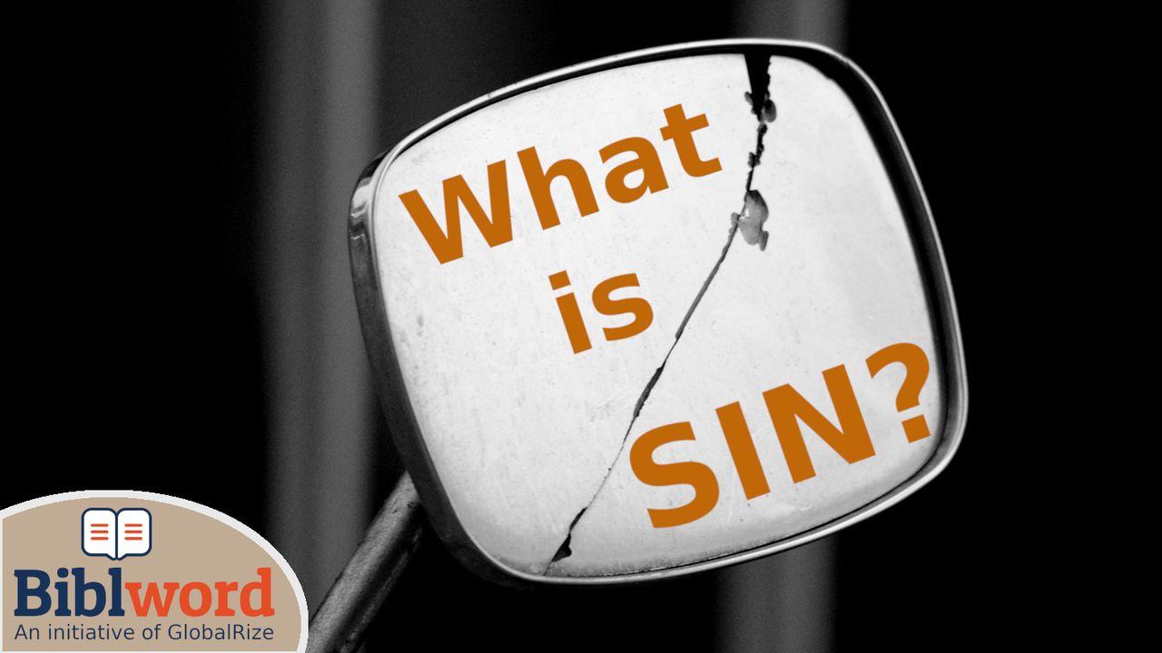 What Is Sin?