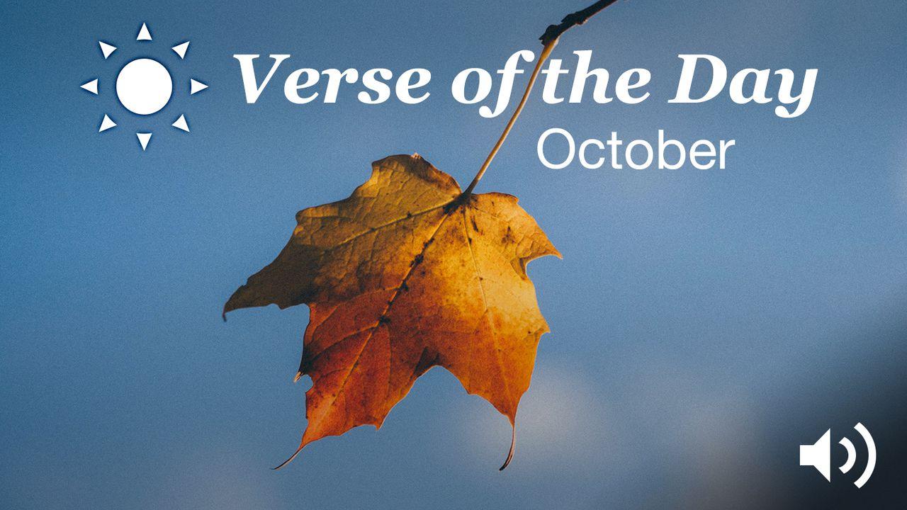 YouVersion Verse Of The Day: October 2016