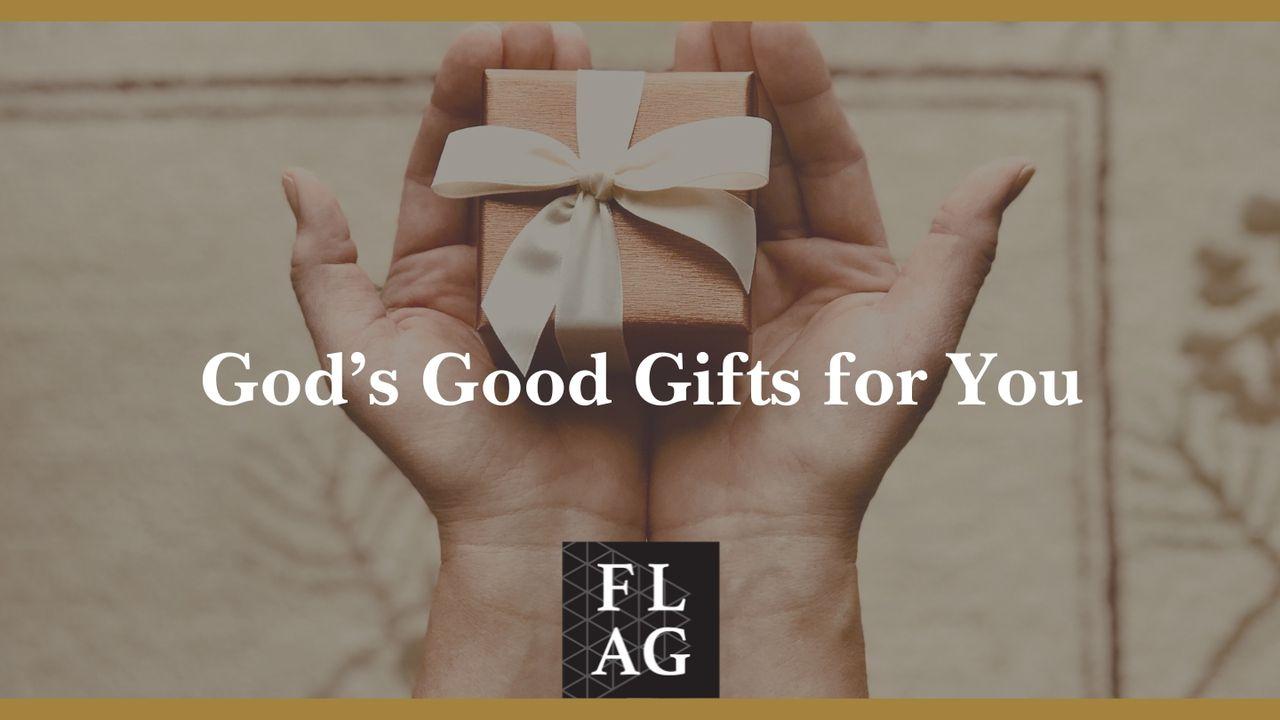 God's Good Gifts for You