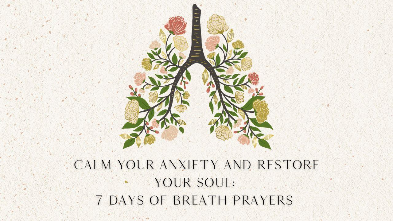 Calm Your Anxiety and Restore Your Soul: 7 Days of Breath Prayers