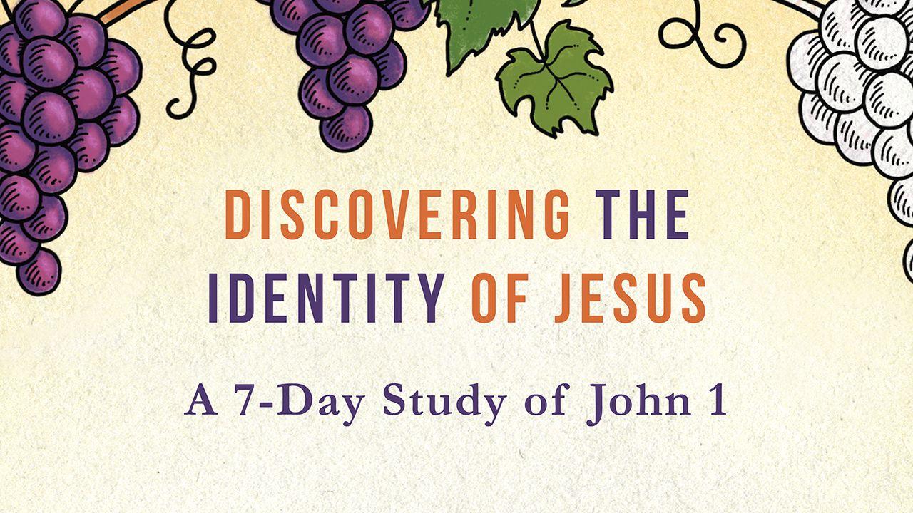 Discovering the Identity of Jesus