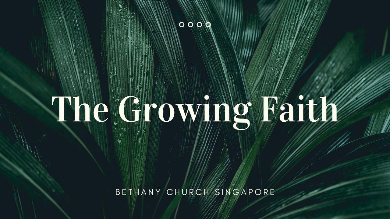 The Growing Faith