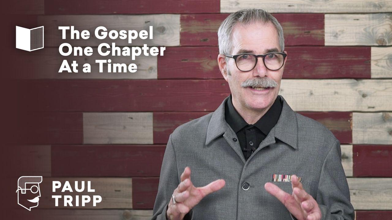 New Testament Bible Study Summary With Paul David Tripp